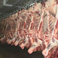 Beef Carcass Beef Carcass