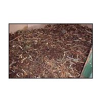  (Vermicompost 02)