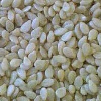 White Sesame Seeds