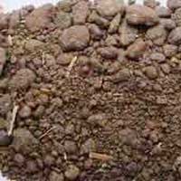 Rapeseed Meal